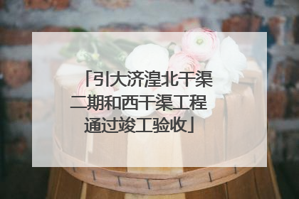 引大济湟北干渠二期和西干渠工程通过竣工验收